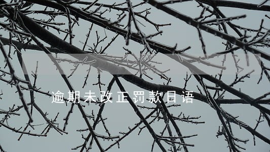 逾期未改正罚款日语 逾期未改正罚款日语
