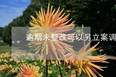 逾期未整改可以另立案调查吗 逾期未整改可以另立案调查吗