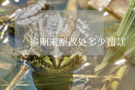 逾期未整改处多少罚款