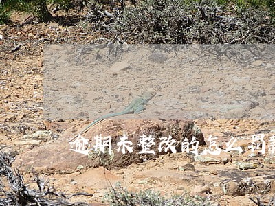 逾期未整改的怎么罚款