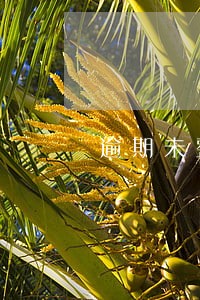 逾期未整改的监理通知 逾期未整改的监理通知