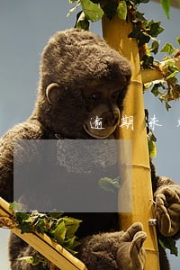 逾期未整改罚款单样板 逾期未整改罚款单样板