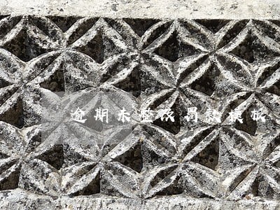 逾期未整改罚款模板