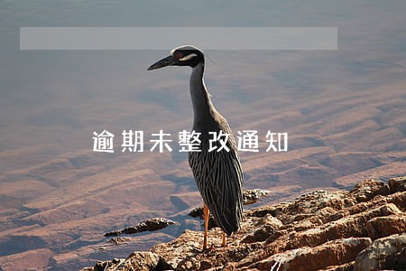 逾期未整改通知 逾期未整改通知