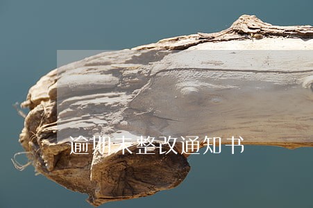 逾期未整改通知书 逾期未整改通知书