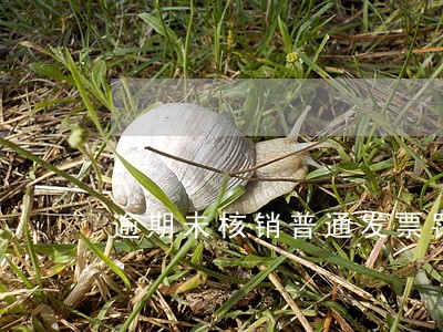 逾期未核销普通发票罚款多少