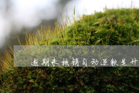 逾期未核销自动退款是什么意思 逾期未核销自动退款是什么意思