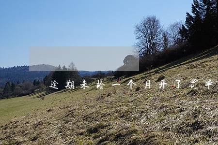 逾期未检一个月开了罚单 逾期未检一个月开了罚单