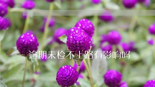 逾期未检不上路有影响吗
