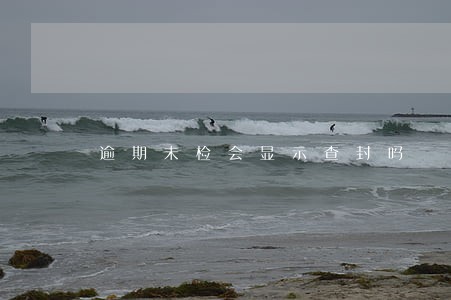 逾期未检会显示查封吗