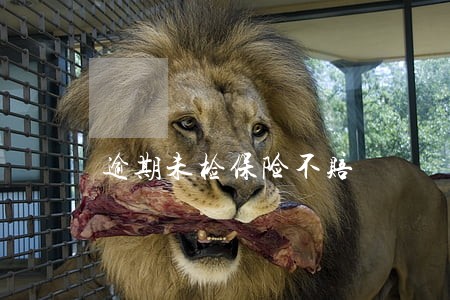 逾期未检保险不赔 逾期未检保险不赔