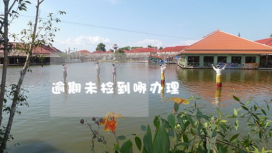 逾期未检到哪办理 逾期未检到哪办理