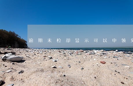 逾期未检却显示可以申领免检 逾期未检却显示可以申领免检