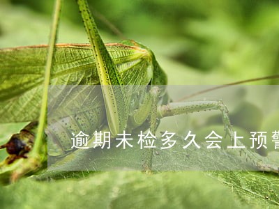 逾期未检多久会上预警系统 逾期未检多久会上预警系统