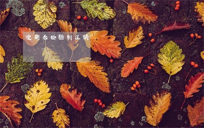 逾期未检强制注销 逾期未检强制注销