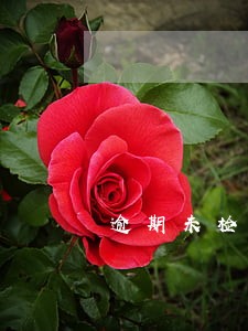 逾期未检注销和报废的区别 逾期未检注销和报废的区别