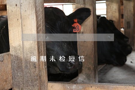 逾期未检短信 逾期未检短信