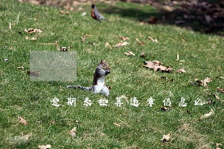 逾期未检算违章信息么 逾期未检算违章信息么