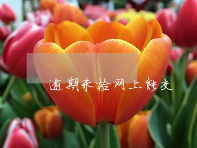 逾期未检网上能交 逾期未检网上能交