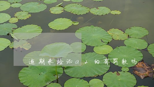 逾期未检证a2的有罚款吗 逾期未检证a2的有罚款吗