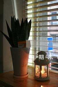 逾期未检超过1个月怎么处罚 逾期未检超过1个月怎么处罚
