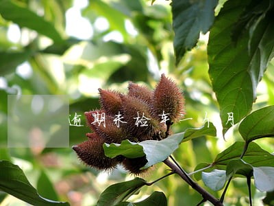 逾期未检车一个月 逾期未检车一个月