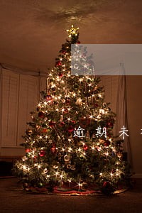 逾期未检车一年内