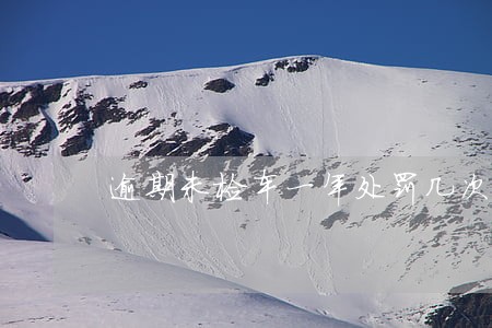 逾期未检车一年处罚几次 逾期未检车一年处罚几次