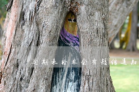 逾期未检车会有短信通知 逾期未检车会有短信通知