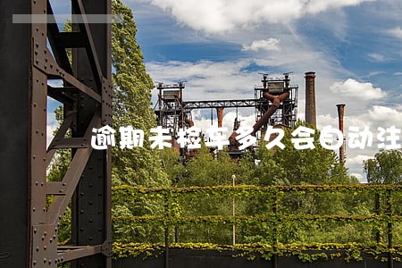 逾期未检车多久会自动注销
