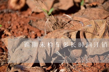 逾期未检车多长时间注销 逾期未检车多长时间注销