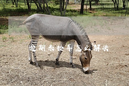 逾期未检车怎么解决 逾期未检车怎么解决
