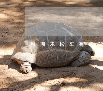 逾期未检车有罚款吗 逾期未检车有罚款吗