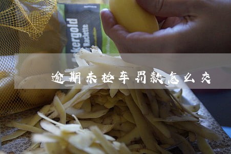 逾期未检车罚款怎么交 逾期未检车罚款怎么交