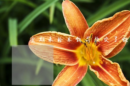 逾期未检车能罚款交了能过户吗 逾期未检车能罚款交了能过户吗