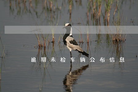 逾期未检车辆公布信息 逾期未检车辆公布信息