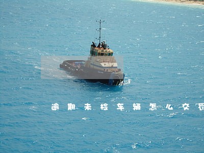 逾期未检车辆怎么交罚款 逾期未检车辆怎么交罚款