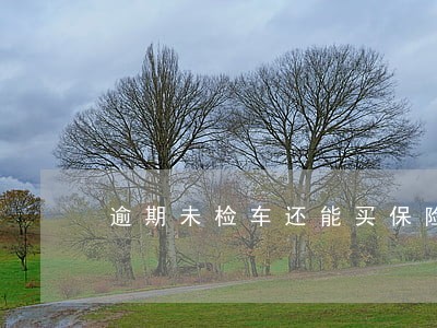 逾期未检车还能买保险吗 逾期未检车还能买保险吗