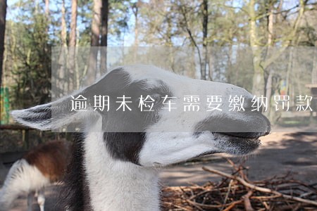 逾期未检车需要缴纳罚款 逾期未检车需要缴纳罚款