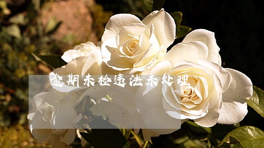 逾期未检违法未处理 逾期未检违法未处理