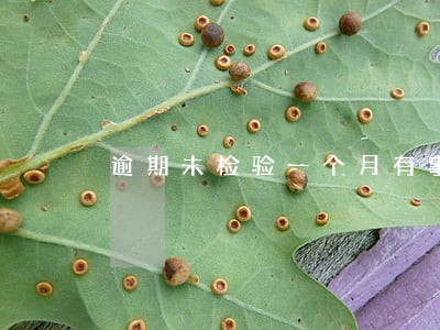 逾期未检验一个月有事吗 逾期未检验一个月有事吗