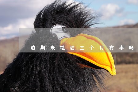 逾期未检验三个月有事吗 逾期未检验三个月有事吗