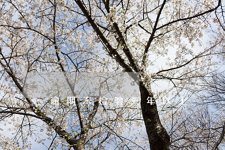逾期未检验三年以上 逾期未检验三年以上