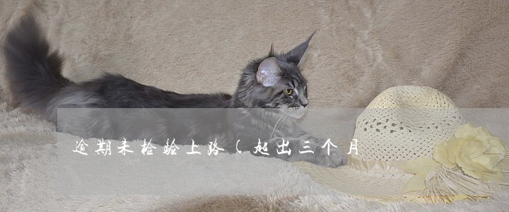 逾期未检验上路(超出三个月 逾期未检验上路(超出三个月