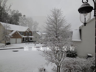 逾期未检验保险 逾期未检验保险