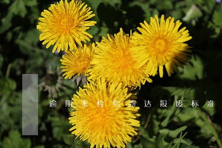 逾期未检验到达报废标准 逾期未检验到达报废标准