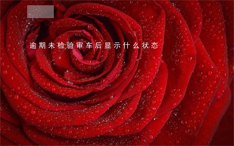 逾期未检验审车后显示什么状态 逾期未检验审车后显示什么状态