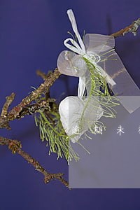 逾期未检验快一年 逾期未检验快一年