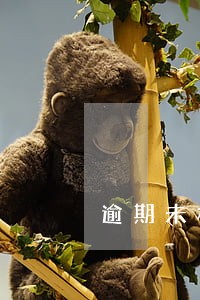 逾期未检验怎么处理上海 逾期未检验怎么处理上海