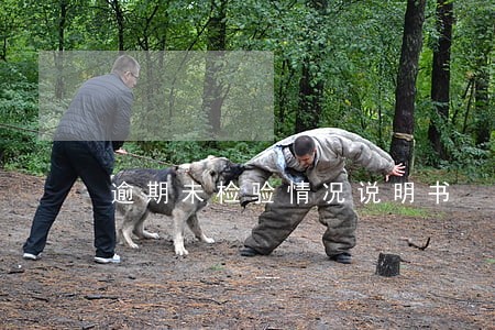逾期未检验情况说明书 逾期未检验情况说明书
